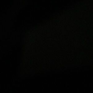 Meet your Posher, Myla